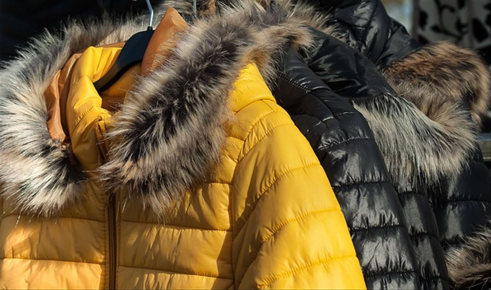 Parka homme discount comme des loups